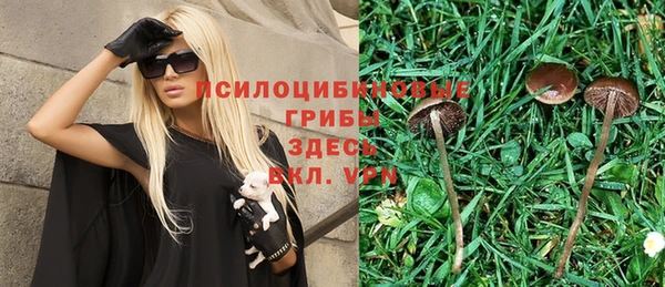 стафф Армянск