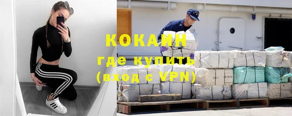 гидра Аркадак