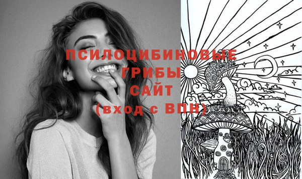 стафф Армянск