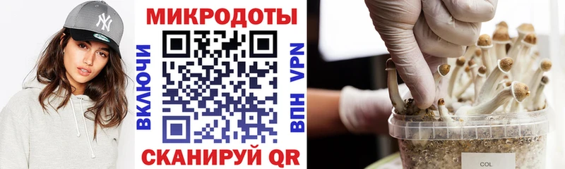 Галлюциногенные грибы MAGIC MUSHROOMS сайты даркнета состав Нея